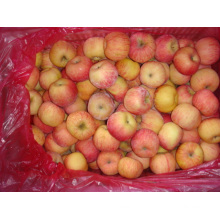 Sweet Fresh FUJI Apples